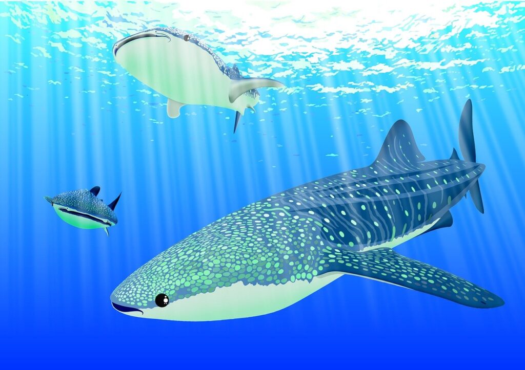 explore the wonders of sea life, from coral reefs and majestic whales to fragile ecosystems. discover facts, conservation tips, and stunning underwater imagery.