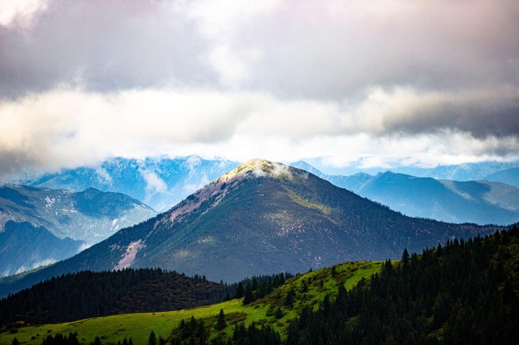 discover the meaning, history, and significance behind crest symbols. explore how crests are used in heraldry, branding, and design across various cultures and traditions.