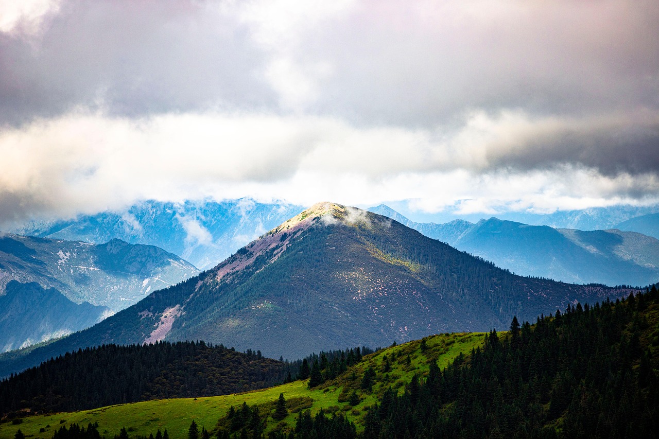 discover the meaning, history, and significance behind crest symbols. explore how crests are used in heraldry, branding, and design across various cultures and traditions.