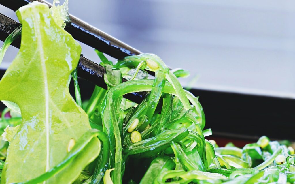 discover the benefits and uses of seaweed – a nutrient-rich marine plant used in cuisine, wellness, and sustainable products. learn about different types of seaweed and their role in a healthy lifestyle.