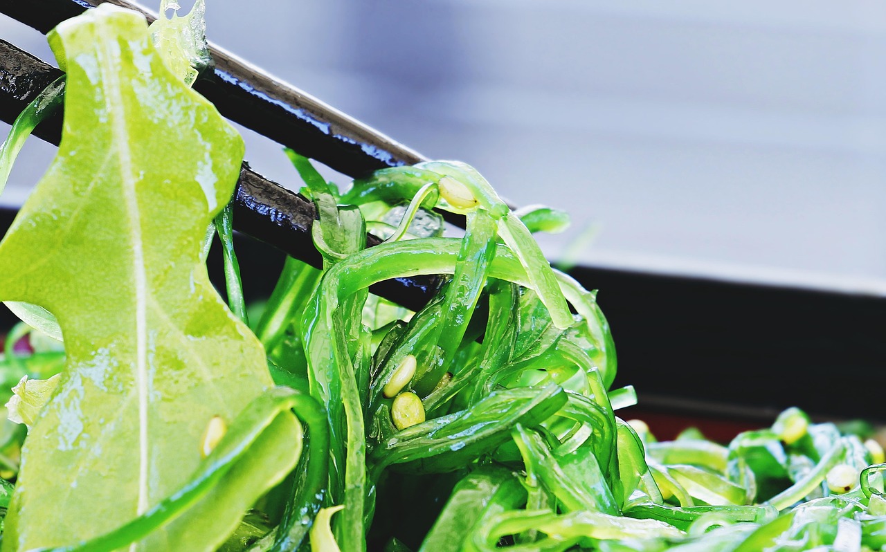discover the benefits and uses of seaweed – a nutrient-rich marine plant used in cuisine, wellness, and sustainable products. learn about different types of seaweed and their role in a healthy lifestyle.