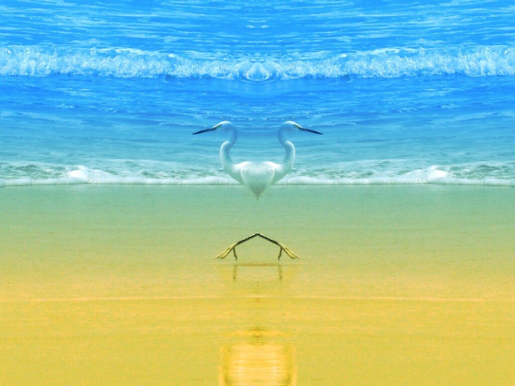 discover the serene charm of coastal living with breathtaking ocean views, relaxing beachside vibes, and vibrant seaside communities.