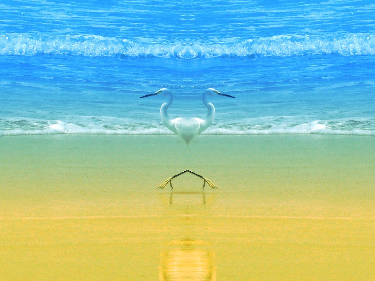 discover the serene charm of coastal living with breathtaking ocean views, relaxing beachside vibes, and vibrant seaside communities.